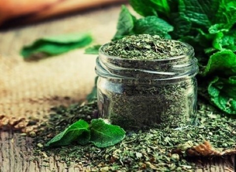 تصویر 3 از خرید گیاه دارویی نعناع خشک + قیمت فروش استثنایی